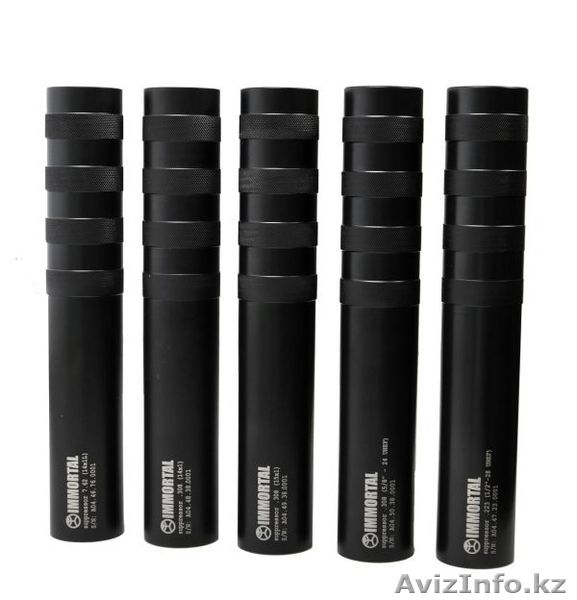 Саундмодератор Steel Immortal - Изображение #2, Объявление #1624183