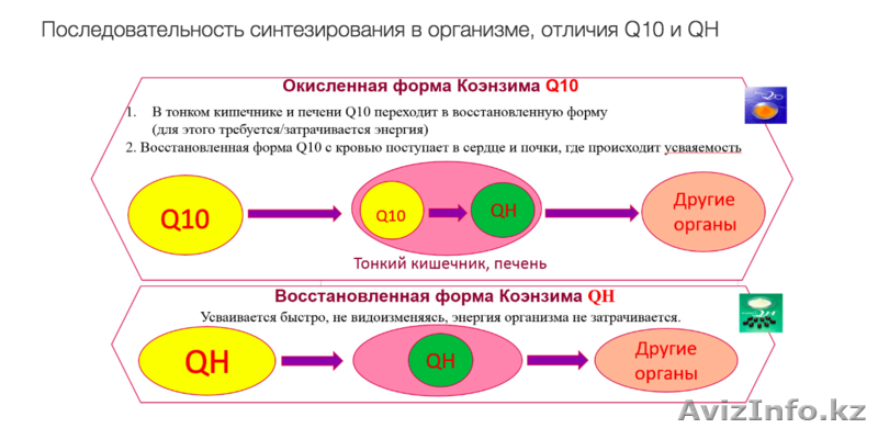 Активный коралловый кальций и Коэнзим QH от "BEVERLee Club" - Изображение #9, Объявление #1631525
