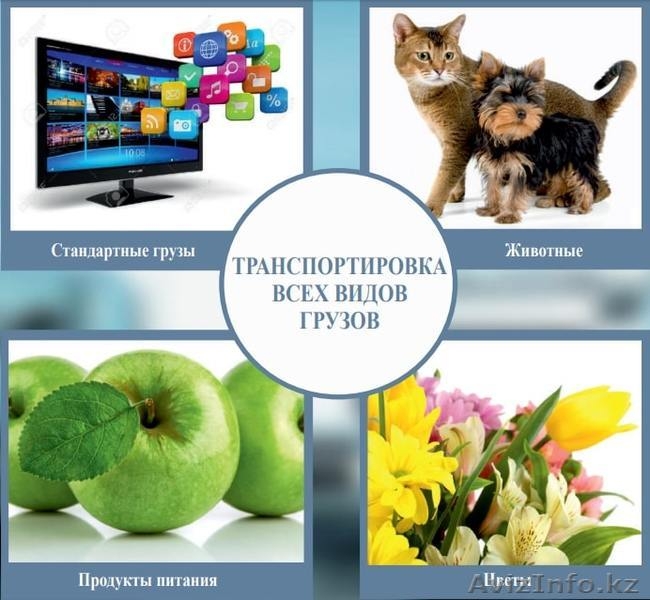 AIR FREIGHT – организация перевозки вашего груза авиатранспортом - Изображение #3, Объявление #1638510