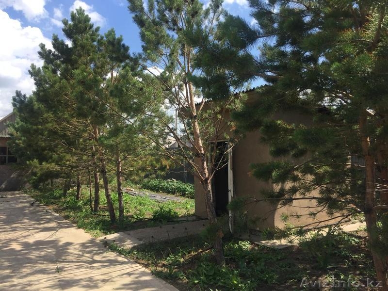 Продам ДОМ в Астане (пос. Жибек Жолы) - Изображение #10, Объявление #1644299