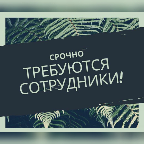 Требуется молодежь - помощники предпринимателю - Изображение #1, Объявление #1654896