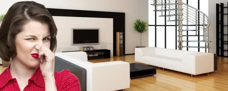 Сауны. Банные комплексы. Уничтожение не приятных запахов. Сырость,затх - Изображение #1, Объявление #1673477