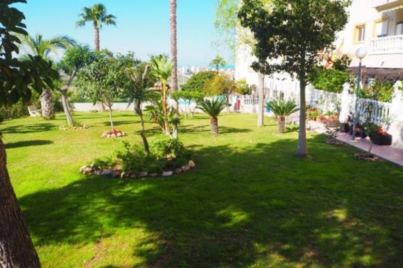 Недвижимость в Испании, Квартира c видами на море в Торревьеха,Коста Бланка - Изображение #4, Объявление #1675939