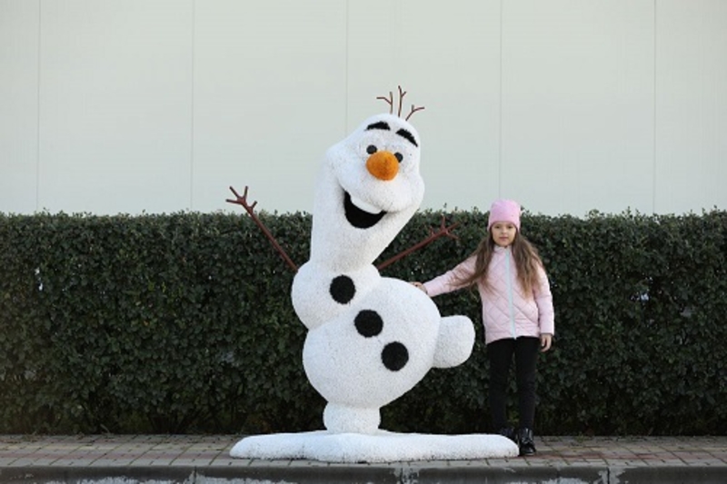 Топиар фигуры от производителя, доставка по всему миру - Изображение #1, Объявление #1690167