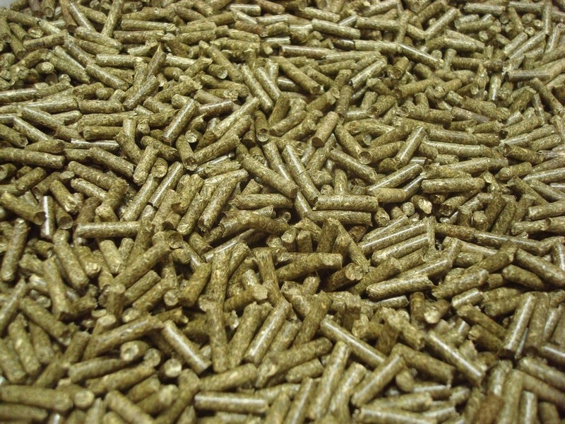 Линии гранулирования  растительной биомассы. MGB 100 / MGL 200 /400 /600 /800 /1 - Изображение #5, Объявление #1715369