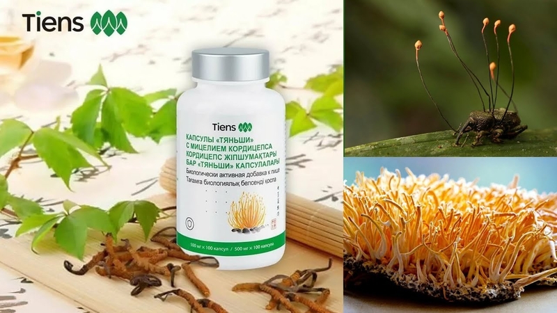 Кордицепс Тяньши  доставка - Изображение #2, Объявление #1741674