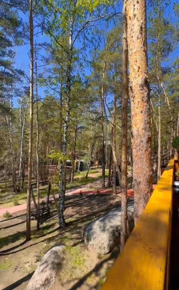 Кaк Восстановить свою энергию,обрести вдохновение, стать ближе к себе? - Изображение #3, Объявление #1744383