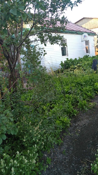 Дом 100 кв, гараж 160кв, удобно под бизнес, участок 11 сот. - Изображение #3, Объявление #1745456