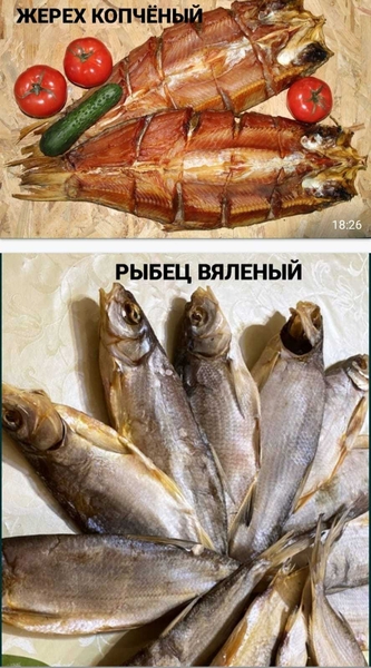 Вяленая копчёная рыба Астане. от 600тг - Изображение #1, Объявление #1746613