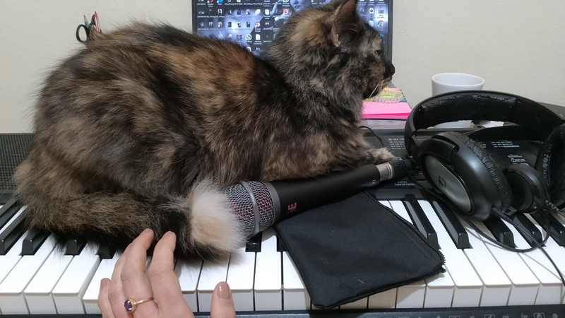 Онлайн-уроки вокала для взрослых и детей - Изображение #3, Объявление #1751444